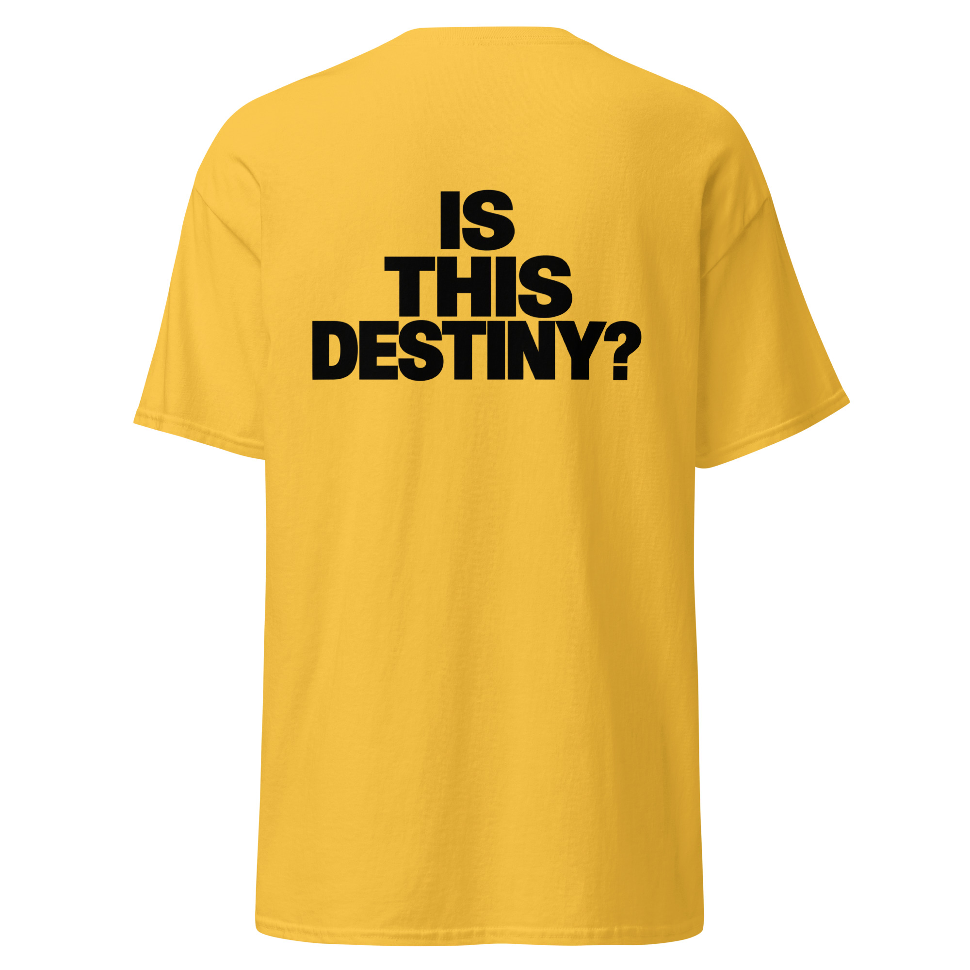 IS THIS DESTINY? T-shirt | Dalsy or white - Image 2