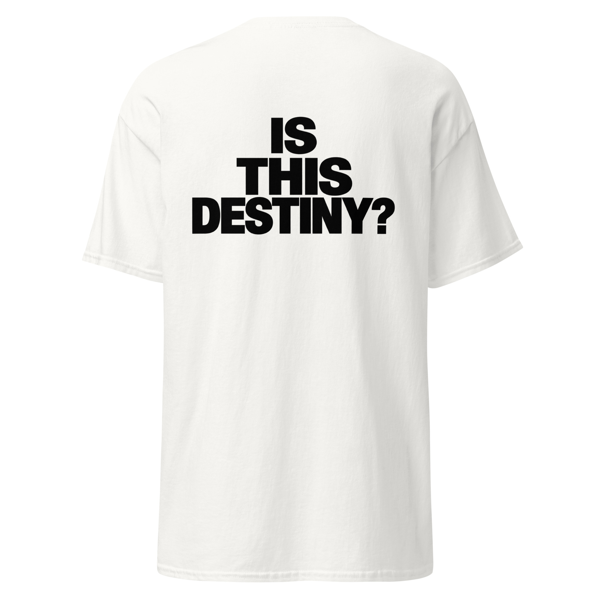 IS THIS DESTINY? T-shirt | Dalsy or white - Image 6