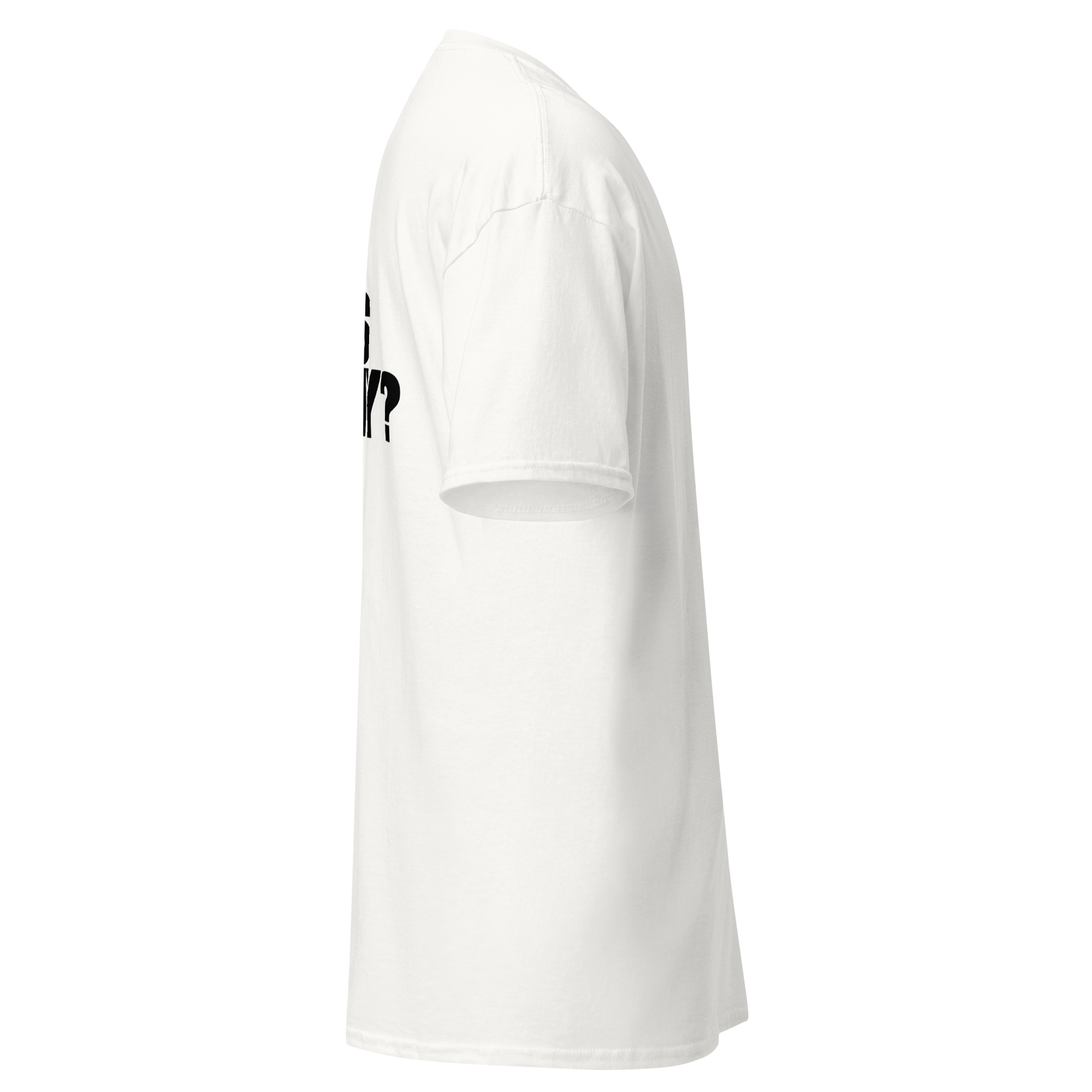 IS THIS DESTINY? T-shirt | Dalsy or white - Image 8